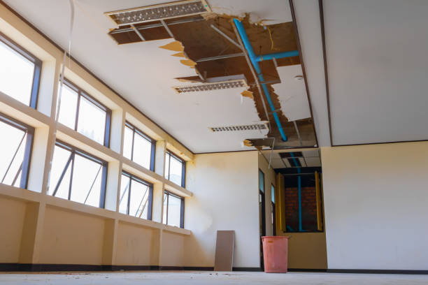 Best Water damage cleanup near me  in Poway, CA