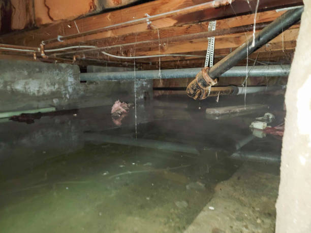 Best Water damage restoration insurance claims  in Poway, CA