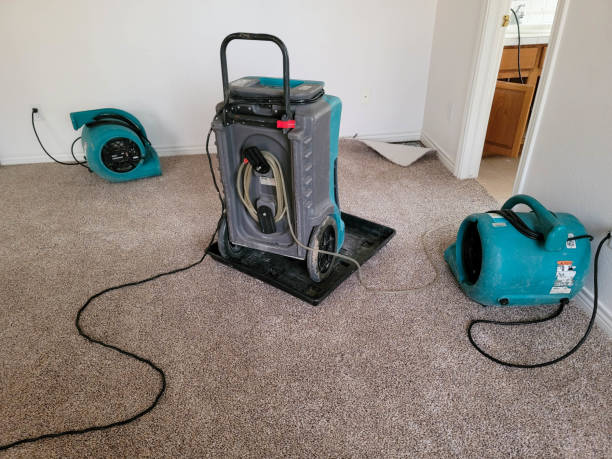 Best Commercial water damage restoration  in Poway, CA