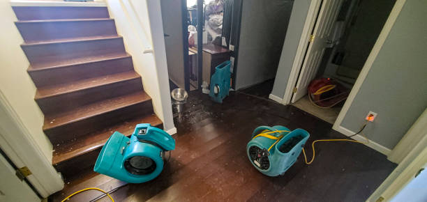  Poway, CA Water damage restoration Pros