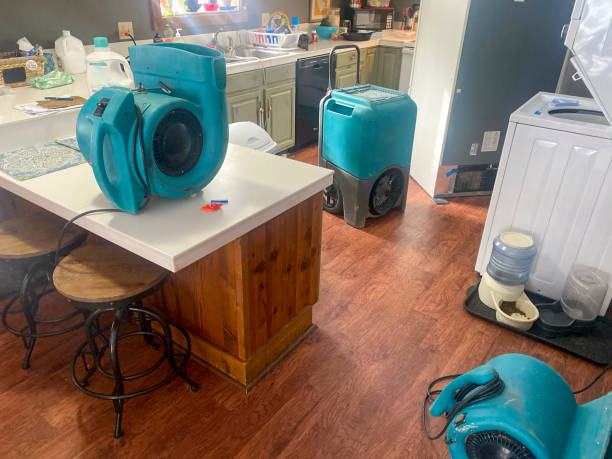 Best Water damage contractors near me  in Poway, CA