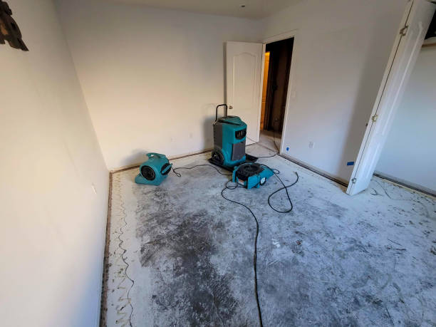 Best Water damage restoration insurance claims  in Poway, CA