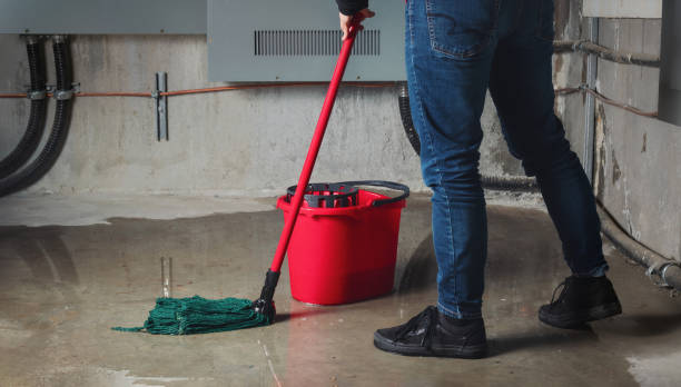 Best 24/7 water damage repair  in Poway, CA