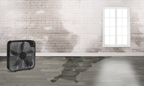 24/7 water damage repair in Poway, CA