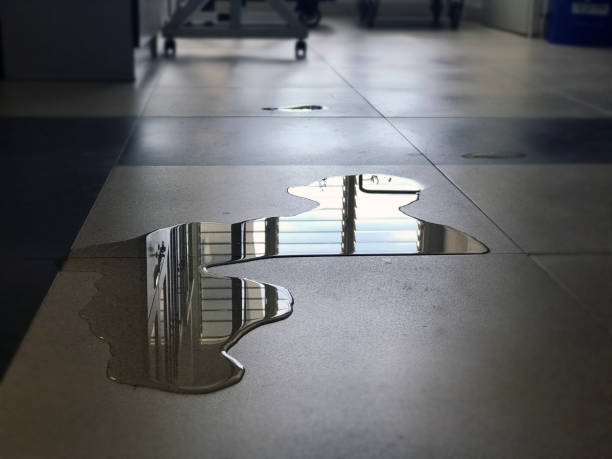 Best Water damage restoration specialists  in Poway, CA