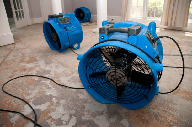 Best Water damage restoration experts  in Poway, CA