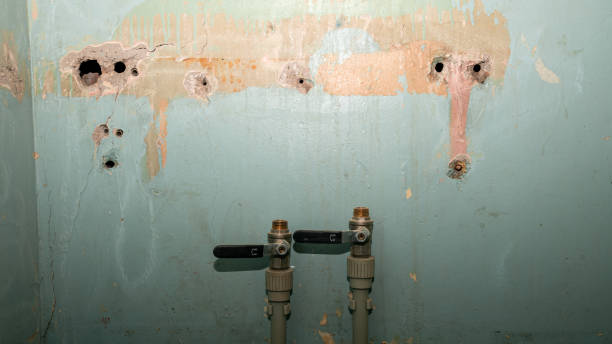 Best Water damage restoration experts  in Poway, CA