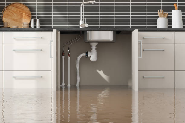 Best Carpet water damage restoration  in Poway, CA