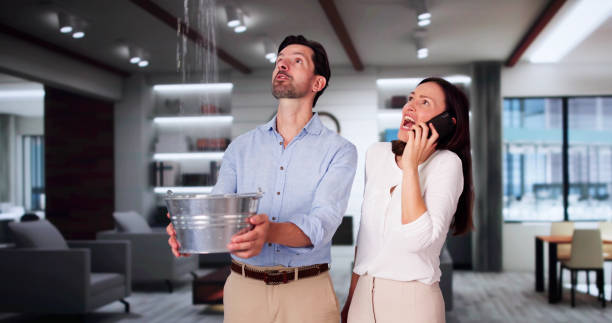 Best Water damage restoration mold remediation  in Poway, CA