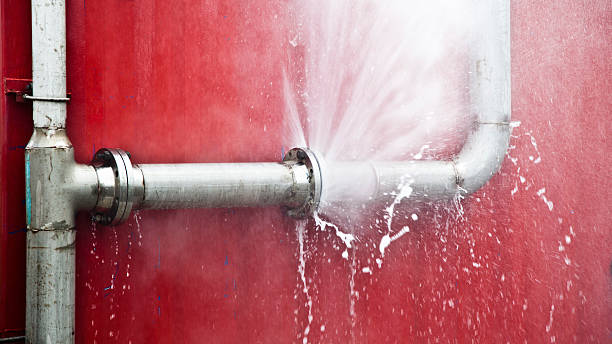 Best Flooded house restoration  in Poway, CA