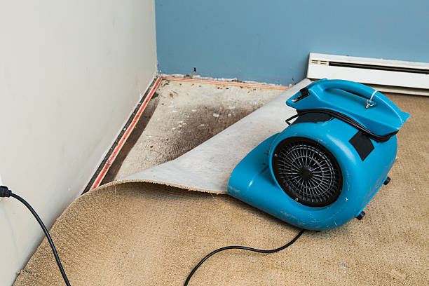 Best Carpet water damage restoration  in Poway, CA